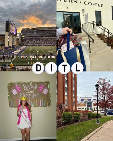 Board and governance practices